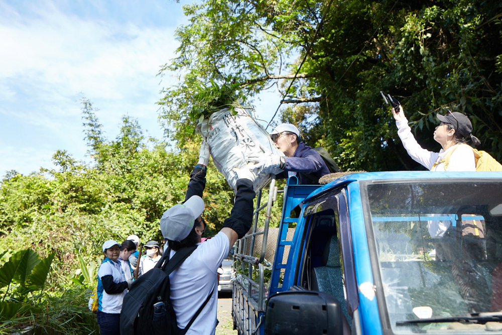 友達串聯志工組成水環境巡守隊，針對霄裡溪沿岸3公里的小花蔓澤蘭，定期進行移除與防治工作